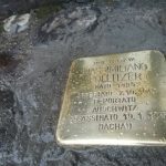 142339479_3364569326981833_686377290588009390_o